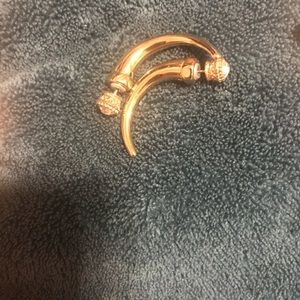 Tiger tooth earrings